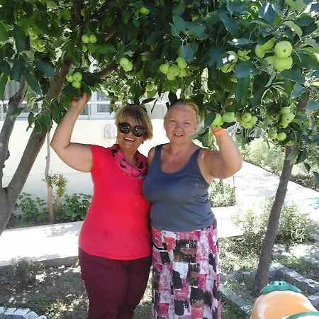 Elis Отель 3*